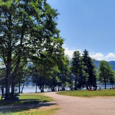 Le Chalet De La Chouille Xonrupt-Longemer Dış mekan fotoğraf
